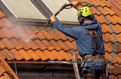 Démoussage et hydrofuge de toiture à Sigottier
